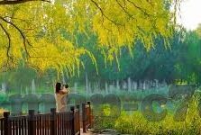 190体育比分足球直播-190体育比分，足球直播的激情引擎与数据盛宴